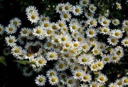 天堂的祝福,探寻人间美好与永恒的奥秘