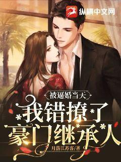 开局离婚，她竟是豪门继承人,从离婚到爱情的华丽转身