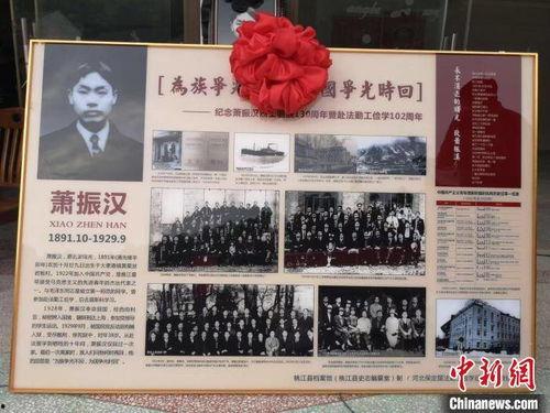 年年寻亲记,跨越时光的亲情追寻之旅