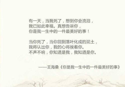 晚风中的情书,一场浪漫的邂逅