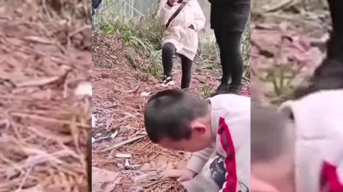 捡个满级幼崽全家开挂,全家幸福，捡到满级幼崽的奇幻之旅